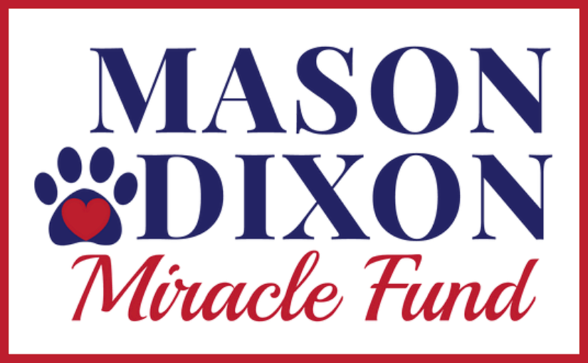 Miracle fund logo