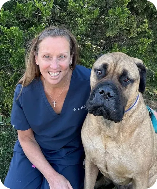 Dr. McCafferty with a mastiff